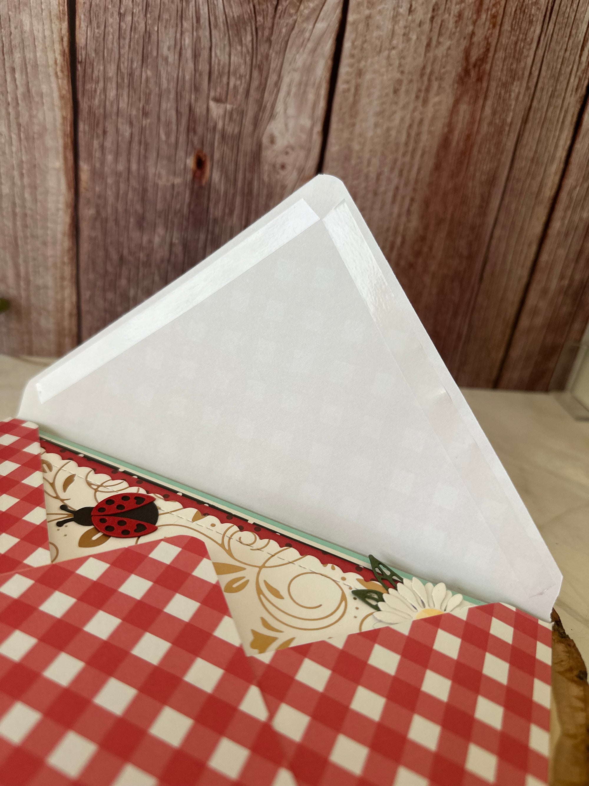 Ladybug Baby Shower Card, Ladybug Card, Card for Mama to Be, New Mama Lady Bug Card, Baby Shower Card - New Beginning Designs