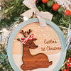 Baby's First Christmas Ornament - New Beginning Designs